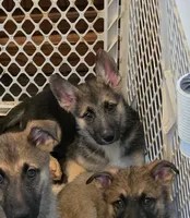 processed/acb22653-c80e-4ff5-8aee-1aba2b3066bb/facility/75ec4d54-4525-417f-910e-efbd8e8d6682