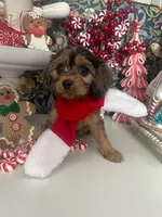 processed/acb55e5c-aa5a-4286-ad6a-f928bd72e6e8/listing/8bbf8aeb-139e-43fe-bbdb-96d223f46145/856d0477-11c5-4acb-b0fc-4d8ebb40a9f4