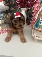 processed/acb55e5c-aa5a-4286-ad6a-f928bd72e6e8/listing/8bbf8aeb-139e-43fe-bbdb-96d223f46145/8abd434e-64f7-4cdd-a9c4-5b647a0a9187