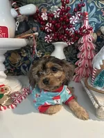 processed/acb55e5c-aa5a-4286-ad6a-f928bd72e6e8/listing/8bbf8aeb-139e-43fe-bbdb-96d223f46145/945e10fc-4dd9-4e70-8e84-832acd2784b7