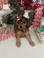 processed/acb55e5c-aa5a-4286-ad6a-f928bd72e6e8/listing/8bbf8aeb-139e-43fe-bbdb-96d223f46145/ce413316-509f-4a87-ba28-a2f50dec71d9