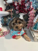 processed/acb55e5c-aa5a-4286-ad6a-f928bd72e6e8/listing/8bbf8aeb-139e-43fe-bbdb-96d223f46145/f3c55808-5e65-49c4-9e77-8fd779d9c705