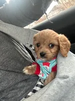 processed/acb55e5c-aa5a-4286-ad6a-f928bd72e6e8/listing/ca2a49dd-e41d-49b1-bdcc-ec20e70b58f1/0d57cd28-f789-42ed-882b-d1db2481d1ed