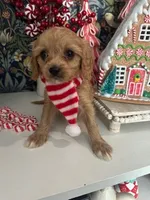 processed/acb55e5c-aa5a-4286-ad6a-f928bd72e6e8/listing/ca2a49dd-e41d-49b1-bdcc-ec20e70b58f1/bb1aa892-2aaa-49a5-8504-14b65a94029d