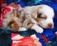 processed/acb65f3d-91a1-4654-bcb1-eb33791c3df2/listing/95955ada-699a-4592-9df5-a7129d29cda0/0f3c2f4c-bfba-4319-8a77-478d6b9c9119