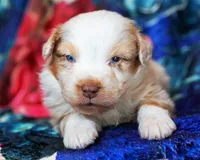 processed/acb65f3d-91a1-4654-bcb1-eb33791c3df2/listing/95955ada-699a-4592-9df5-a7129d29cda0/56233101-d730-444d-b437-a3fccc1be0d6