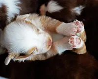 processed/acb65f3d-91a1-4654-bcb1-eb33791c3df2/listing/95955ada-699a-4592-9df5-a7129d29cda0/732ad175-498d-44f8-bd3f-1592a8b72bee