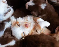 processed/acb65f3d-91a1-4654-bcb1-eb33791c3df2/listing/95955ada-699a-4592-9df5-a7129d29cda0/9e0bd883-155d-43d9-a2c5-2cd1dc1e05b2