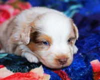 processed/acb65f3d-91a1-4654-bcb1-eb33791c3df2/listing/95955ada-699a-4592-9df5-a7129d29cda0/a76a09b5-09fb-46d8-9dbd-a33df34086da