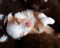 processed/acb65f3d-91a1-4654-bcb1-eb33791c3df2/listing/95955ada-699a-4592-9df5-a7129d29cda0/c7bfcb9b-e2e0-4fd3-969e-254ae0e48ee5