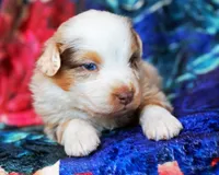 processed/acb65f3d-91a1-4654-bcb1-eb33791c3df2/listing/95955ada-699a-4592-9df5-a7129d29cda0/ce0f9c6f-4251-4c8a-99af-7e836b75b23c