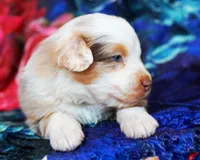 processed/acb65f3d-91a1-4654-bcb1-eb33791c3df2/listing/95955ada-699a-4592-9df5-a7129d29cda0/e6dcb988-156d-43de-b3db-6c055661d55d