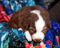 processed/acb65f3d-91a1-4654-bcb1-eb33791c3df2/listing/b93fd4d8-525b-492a-bf4c-a4641946ddb0/173ecba9-b67b-4b09-b758-46c25fdafdfd