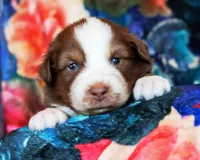 processed/acb65f3d-91a1-4654-bcb1-eb33791c3df2/listing/b93fd4d8-525b-492a-bf4c-a4641946ddb0/2670a256-4a26-4059-bb85-ed6c8b8068ef