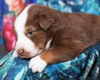 processed/acb65f3d-91a1-4654-bcb1-eb33791c3df2/listing/b93fd4d8-525b-492a-bf4c-a4641946ddb0/350b0e1f-d779-4201-8e61-6f85f13d9d9c