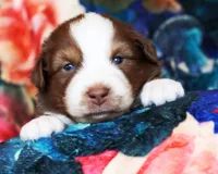 processed/acb65f3d-91a1-4654-bcb1-eb33791c3df2/listing/b93fd4d8-525b-492a-bf4c-a4641946ddb0/5dcc3215-bdbd-4c74-8044-b724d683c5f9