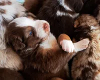 processed/acb65f3d-91a1-4654-bcb1-eb33791c3df2/listing/b93fd4d8-525b-492a-bf4c-a4641946ddb0/838cdc8c-2bff-4703-b646-b7d94b55cdb3