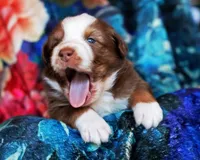 processed/acb65f3d-91a1-4654-bcb1-eb33791c3df2/listing/b93fd4d8-525b-492a-bf4c-a4641946ddb0/929691a7-82ec-4cfa-866f-a42eb3fae53f