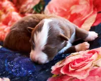 processed/acb65f3d-91a1-4654-bcb1-eb33791c3df2/listing/b93fd4d8-525b-492a-bf4c-a4641946ddb0/9c91b63c-c8fc-4998-8376-38567b44b0e0