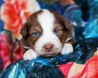 processed/acb65f3d-91a1-4654-bcb1-eb33791c3df2/listing/b93fd4d8-525b-492a-bf4c-a4641946ddb0/d8d2e93c-5106-411d-b9d5-f2a0332efa4f