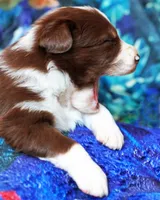 processed/acb65f3d-91a1-4654-bcb1-eb33791c3df2/listing/b93fd4d8-525b-492a-bf4c-a4641946ddb0/ec2c3de8-b234-4f34-90a0-a9c523a29a12