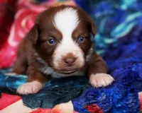 processed/acb65f3d-91a1-4654-bcb1-eb33791c3df2/listing/c2f24365-1c71-4dfe-987e-2b52df4fc3b6/1a548de2-1ac6-45c1-9bb6-ebff0a6b925c