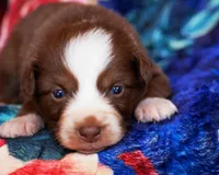 processed/acb65f3d-91a1-4654-bcb1-eb33791c3df2/listing/c2f24365-1c71-4dfe-987e-2b52df4fc3b6/1fc8ef93-b624-4b46-bc23-fc701bb5a04e