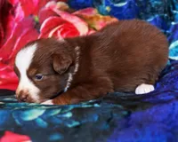 processed/acb65f3d-91a1-4654-bcb1-eb33791c3df2/listing/c2f24365-1c71-4dfe-987e-2b52df4fc3b6/239898ea-0b03-4497-a610-d238bd074ad6