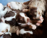 processed/acb65f3d-91a1-4654-bcb1-eb33791c3df2/listing/c2f24365-1c71-4dfe-987e-2b52df4fc3b6/48300e76-201a-4e65-b23a-ba9200bdd3d5