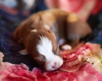 processed/acb65f3d-91a1-4654-bcb1-eb33791c3df2/listing/c2f24365-1c71-4dfe-987e-2b52df4fc3b6/91dea06b-5d40-46dd-b063-daf98a3c5445