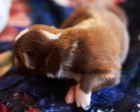 processed/acb65f3d-91a1-4654-bcb1-eb33791c3df2/listing/c2f24365-1c71-4dfe-987e-2b52df4fc3b6/b0765015-ee5c-4ff3-97ce-00633e66a1f9