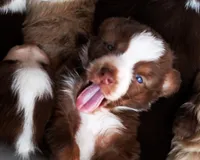 processed/acb65f3d-91a1-4654-bcb1-eb33791c3df2/listing/c2f24365-1c71-4dfe-987e-2b52df4fc3b6/b296995a-b540-44dd-98d0-12124112b674