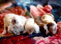 processed/acb65f3d-91a1-4654-bcb1-eb33791c3df2/listing/cf900597-b243-4487-93f1-fc2a1ad79635/005b73b8-737a-4b7c-80d6-d2ebda99b3f9