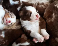 processed/acb65f3d-91a1-4654-bcb1-eb33791c3df2/listing/d14a9890-309a-4248-99e6-0db24c57e4ab/4d3ec7a2-6932-4bb4-b25d-882494c9bbd7