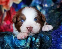 processed/acb65f3d-91a1-4654-bcb1-eb33791c3df2/listing/d14a9890-309a-4248-99e6-0db24c57e4ab/774dfb99-f790-4662-a019-99f91f161bb2