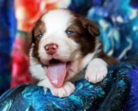 processed/acb65f3d-91a1-4654-bcb1-eb33791c3df2/listing/d14a9890-309a-4248-99e6-0db24c57e4ab/7e0404eb-39af-4f62-b18c-976984a43018