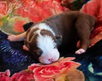 processed/acb65f3d-91a1-4654-bcb1-eb33791c3df2/listing/d14a9890-309a-4248-99e6-0db24c57e4ab/921c2faf-b249-4ad5-92b9-595decad0997