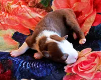 processed/acb65f3d-91a1-4654-bcb1-eb33791c3df2/listing/d14a9890-309a-4248-99e6-0db24c57e4ab/9b5e4620-0c9d-4746-9989-5092f706e5cd