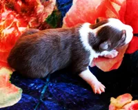 processed/acb65f3d-91a1-4654-bcb1-eb33791c3df2/listing/d14a9890-309a-4248-99e6-0db24c57e4ab/a983f54b-2f35-4cbd-9a0e-53275e64108a