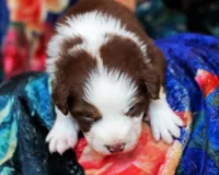 processed/acb65f3d-91a1-4654-bcb1-eb33791c3df2/listing/d14a9890-309a-4248-99e6-0db24c57e4ab/fb12ec57-9e85-427a-a075-6f85ce29a579