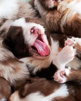 processed/acb65f3d-91a1-4654-bcb1-eb33791c3df2/listing/e4abdb5a-d526-432e-9fcc-fd7b6314a69c/029d90b4-e11b-43e8-bb9d-ff570ad5ea02