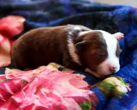 processed/acb65f3d-91a1-4654-bcb1-eb33791c3df2/listing/e4abdb5a-d526-432e-9fcc-fd7b6314a69c/035552e4-4408-4013-86f8-24645451b9e1