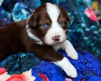 processed/acb65f3d-91a1-4654-bcb1-eb33791c3df2/listing/e4abdb5a-d526-432e-9fcc-fd7b6314a69c/0f5452b7-263f-48e5-9987-11ffda408073