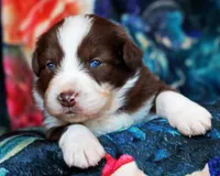 processed/acb65f3d-91a1-4654-bcb1-eb33791c3df2/listing/e4abdb5a-d526-432e-9fcc-fd7b6314a69c/a71d0e46-6b38-4993-9cb3-0ae257bea172