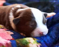 processed/acb65f3d-91a1-4654-bcb1-eb33791c3df2/listing/e4abdb5a-d526-432e-9fcc-fd7b6314a69c/dc1037a8-1de7-4a7d-a79a-52c486f550af