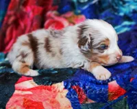 processed/acb65f3d-91a1-4654-bcb1-eb33791c3df2/listing/f1cf259d-78e0-4627-bf8c-a05cfd79673a/360ab65b-5af0-4b47-bd35-e410c6e45966