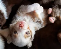 processed/acb65f3d-91a1-4654-bcb1-eb33791c3df2/listing/f1cf259d-78e0-4627-bf8c-a05cfd79673a/7662905e-4d31-482c-aa03-72231be8c216