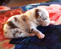 processed/acb65f3d-91a1-4654-bcb1-eb33791c3df2/listing/f1cf259d-78e0-4627-bf8c-a05cfd79673a/bba06983-764d-4b3f-aa19-18b0a7f82b84