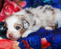 processed/acb65f3d-91a1-4654-bcb1-eb33791c3df2/listing/f1cf259d-78e0-4627-bf8c-a05cfd79673a/cc5bd1d9-ee58-4340-a4a3-c4bc96cfede0