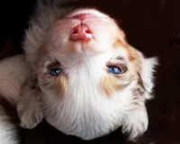 processed/acb65f3d-91a1-4654-bcb1-eb33791c3df2/listing/f1cf259d-78e0-4627-bf8c-a05cfd79673a/dbd68238-5b21-4d95-b3a8-27c07de691c7